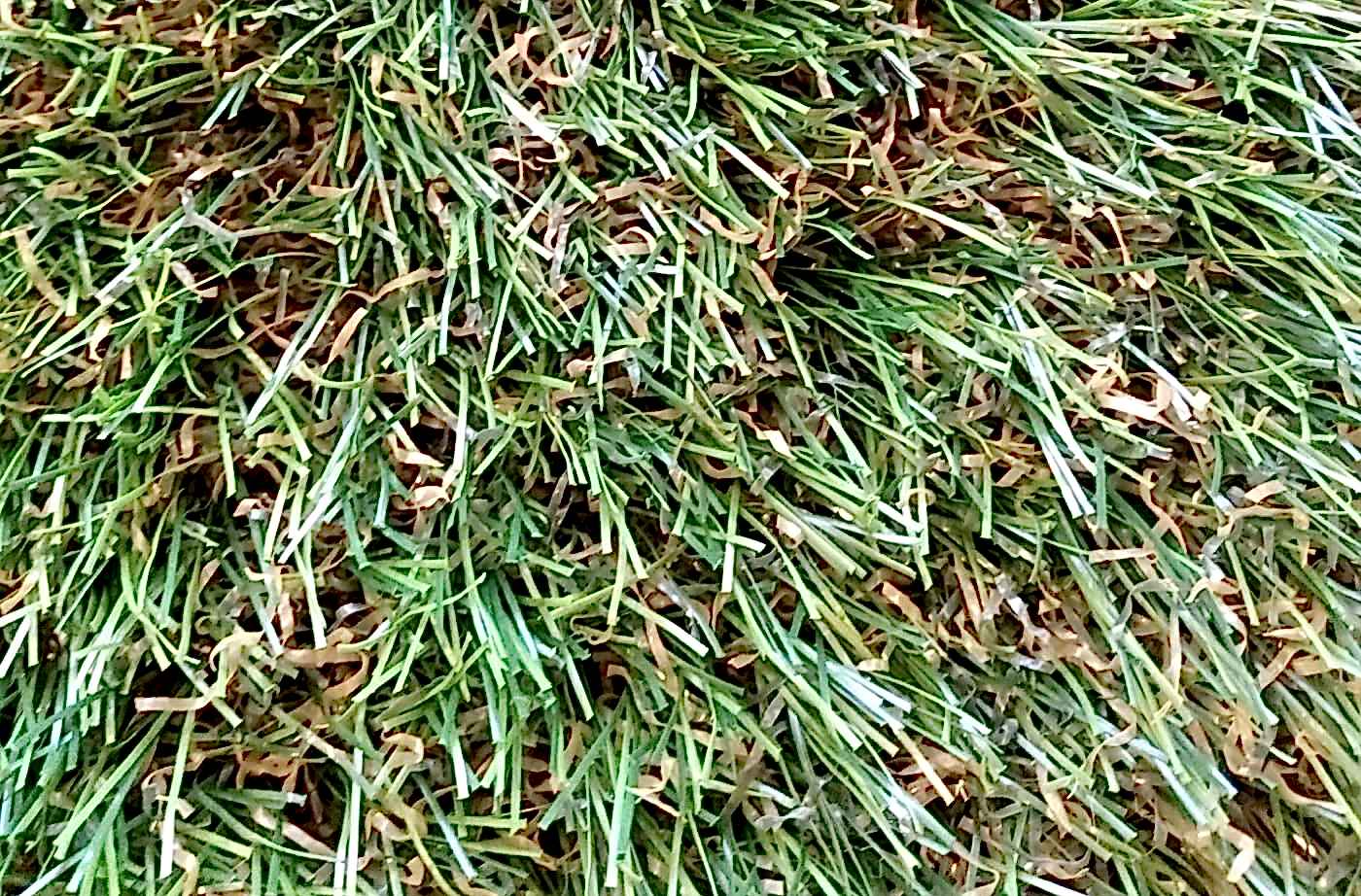 Lux Peyzaj Bahçe Çim Halısı